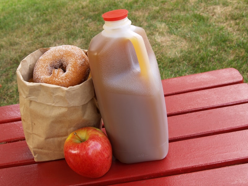 The Best Michigan Cider Mills to Visit this Fall | Around ...