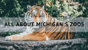 All About Michigan's Zoos