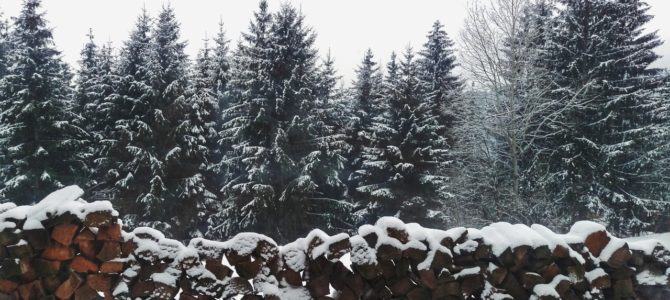 Michigan Christmas Tree Farms [Updated 2021]