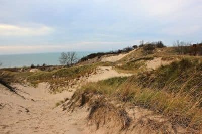 warren dunes panoramic