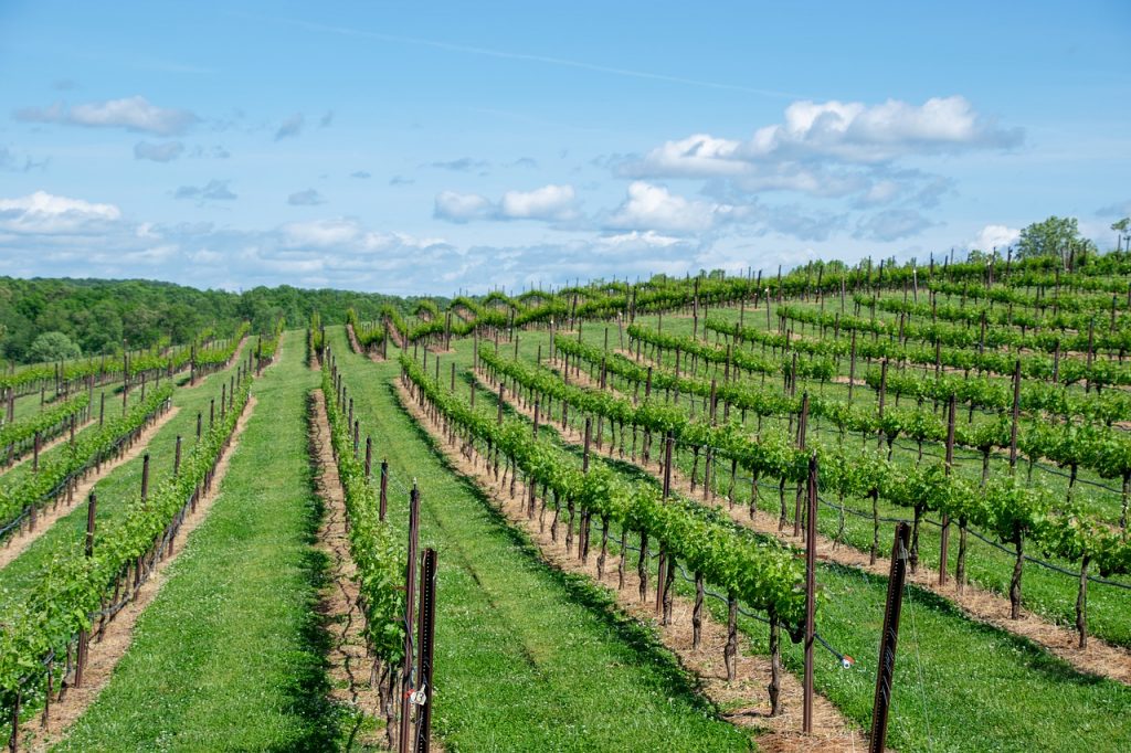 best wineries in southwest michigan