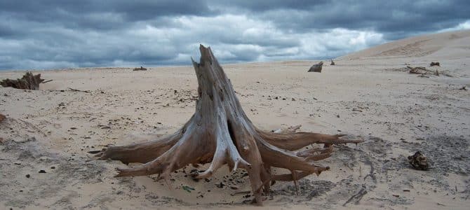 Silver Lake Sand Dunes Guide