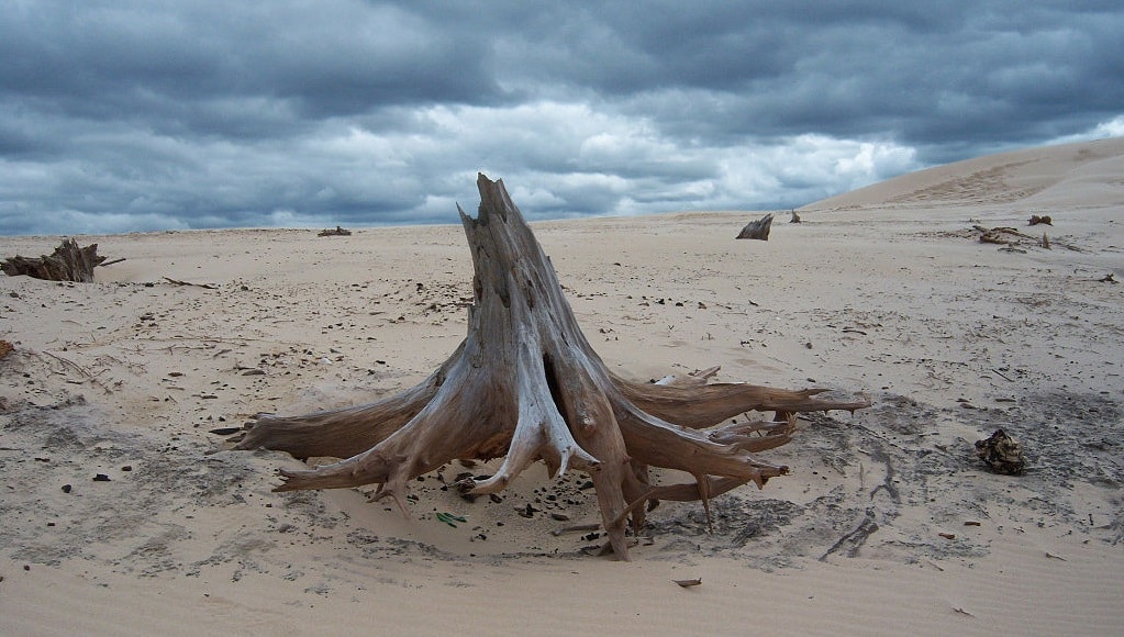 Silver Lake Sand Dunes Guide