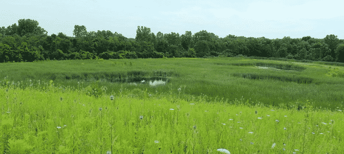 27 Great Michigan Nature Centers
