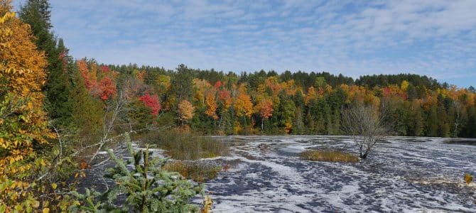Michigan Fall Bucket List