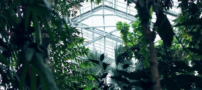 Michigan Indoor Activities