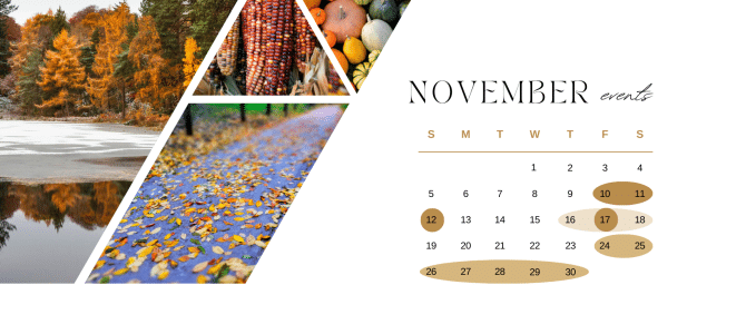 Michigan Events in November