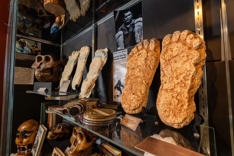 Mythos Museum Bigfoot Display 768x513